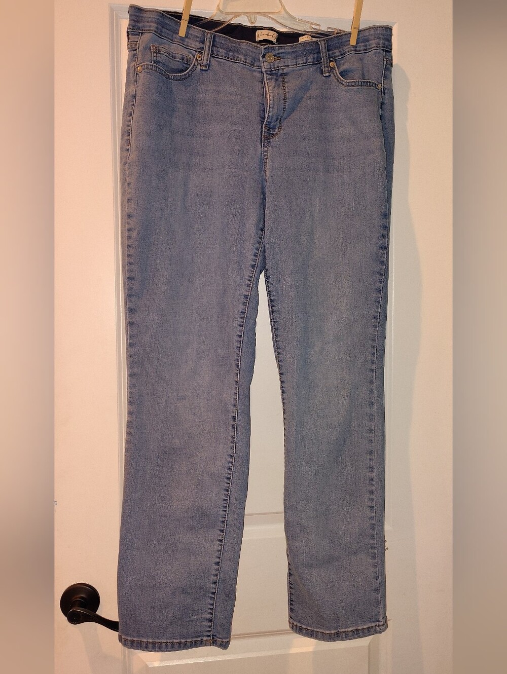Wonderly Straight-Leg Jeans in Light Blue Denim 16w